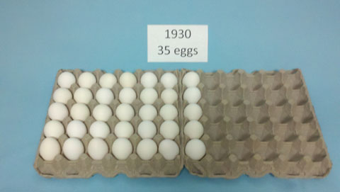 Eggs 1930
