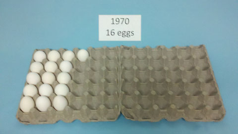 Eggs 1970