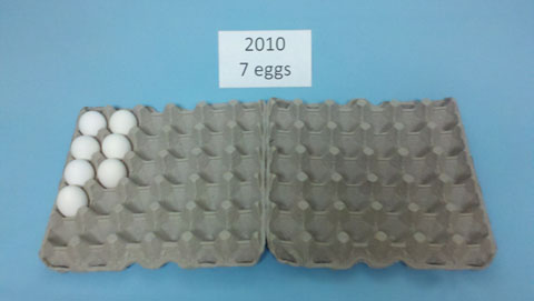 Eggs 2010